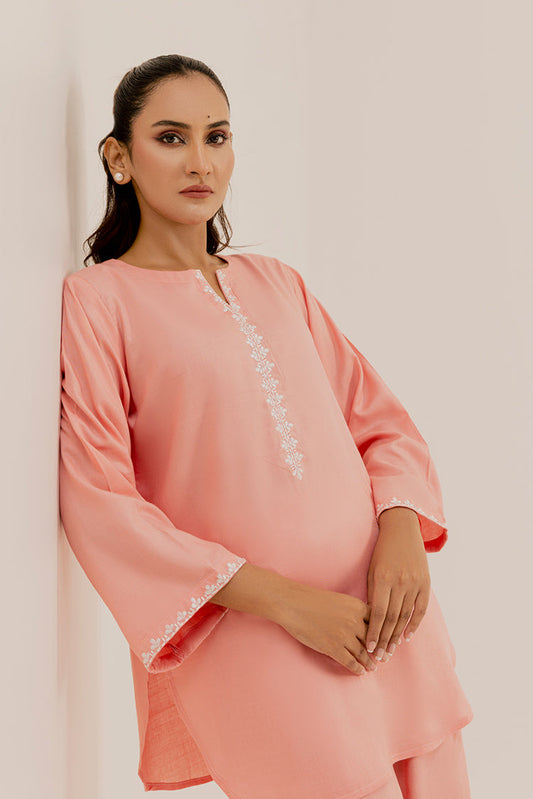 Picture of The Slay Wear - Basic Stitched - Peach Embroidered Set - Available at Raja Sahib