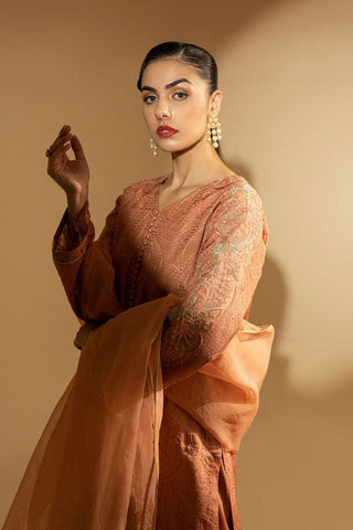 Picture of Fozia Khalid - Peach Hues - Available at Raja Sahib