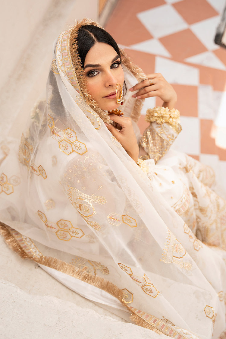 Picture of Rajwani - Aghaz Luxury Formal Collection - Chandani - Available at Raja Sahib