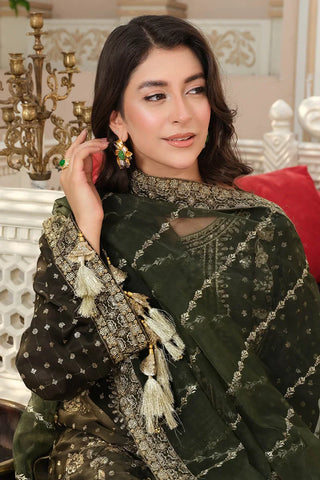 Picture of Maherposh - Maher Bano RTW Collection - SLK-1005 - Hunsa - Available at Raja Sahib