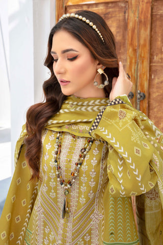 Saira Bano Embroidered Lawn Collection  - D04