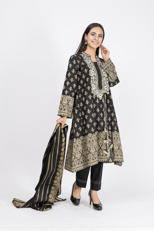 Picture of Embroidered Jacquard Suit - ARN2127 - Available at Raja Sahib