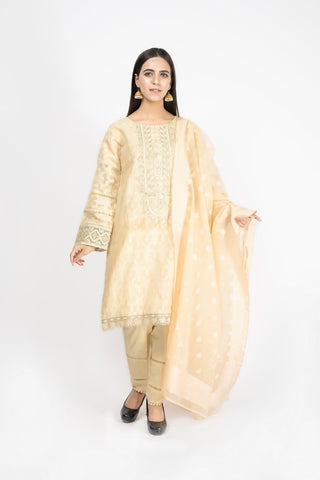 Embroidered Jacquard Suit - ARN2169
