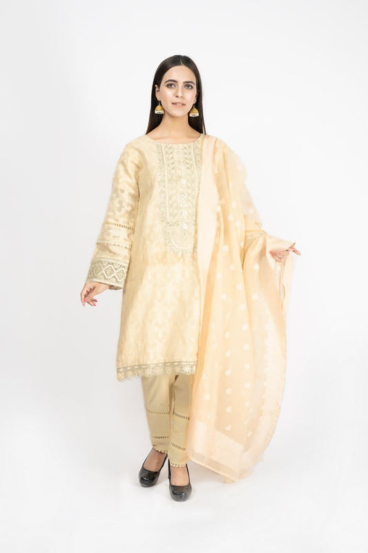 Picture of Embroidered Jacquard Suit - ARN2169 - Available at Raja Sahib