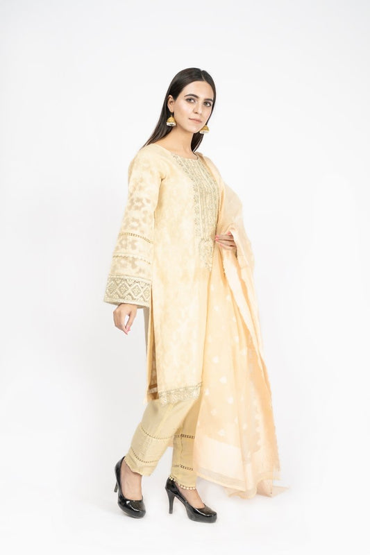 Picture of Embroidered Jacquard Suit - ARN2169 - Available at Raja Sahib