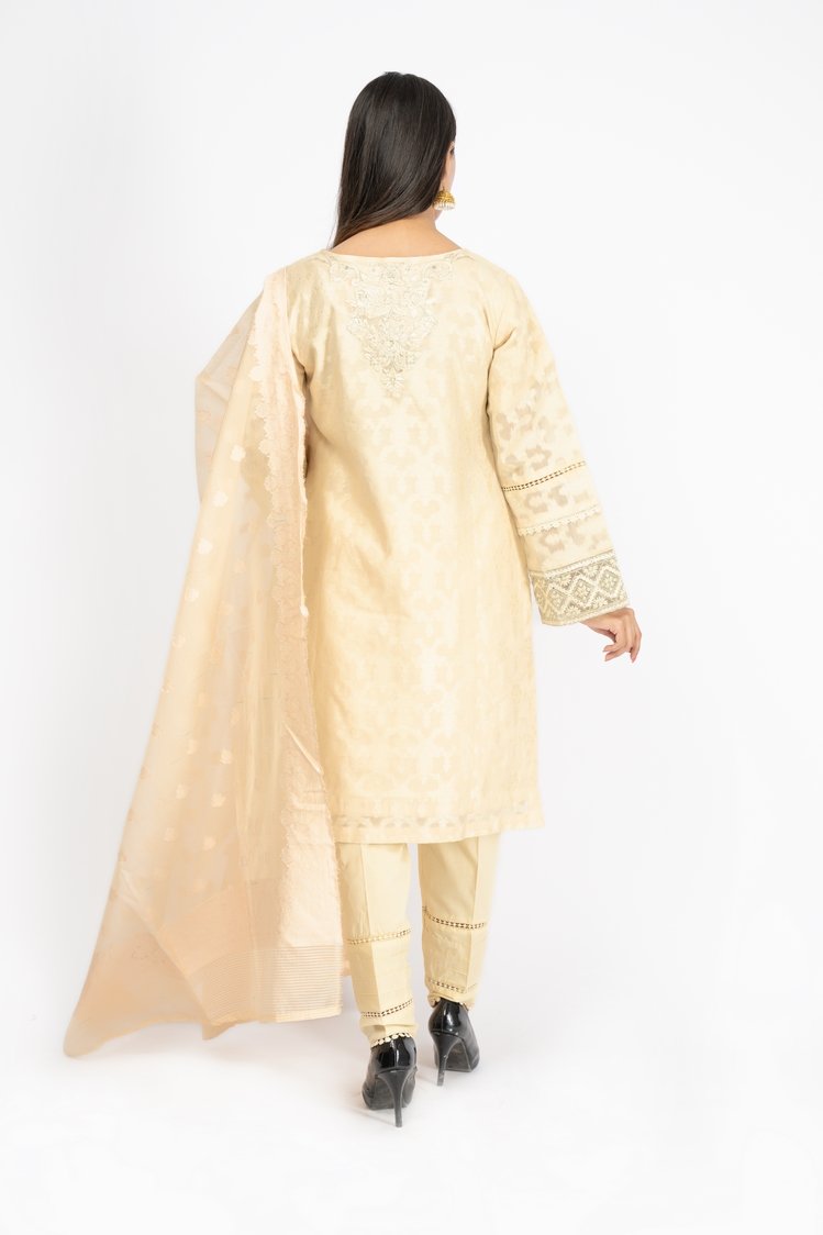 Picture of Embroidered Jacquard Suit - ARN2169 - Available at Raja Sahib