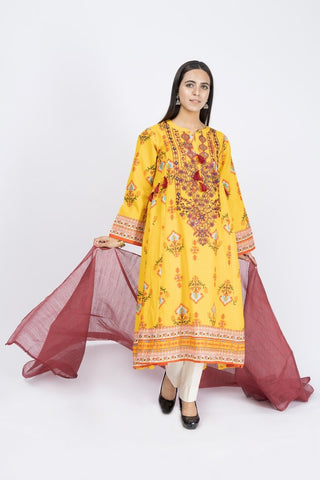 Printed & Embroidered Lawn Suit - ARN2196