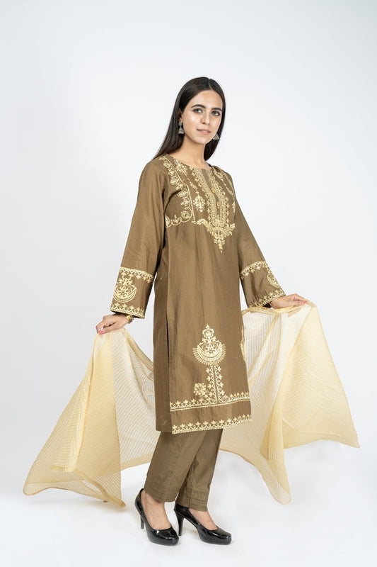 Picture of Embroidered Jacquard Suit - ARN2216 - Available at Raja Sahib