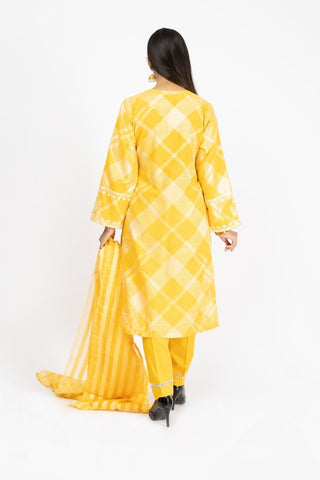 Embroidered Jacquard Suit - ARN2268