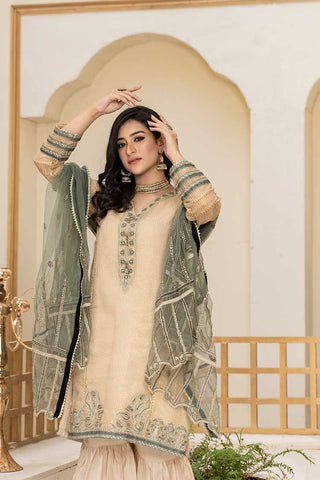 Embroidered Organza 3-PC Suit