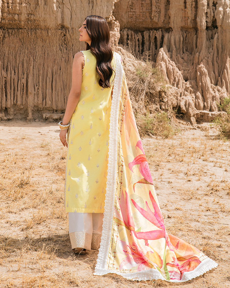 Picture of Maria Osama Khan Haya-02 Pariwash Premium Lawn Collection 2022 - Available at Raja Sahib