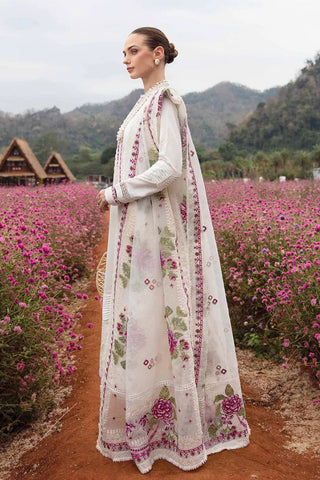 12 LYRA Luxury Lawn Collection