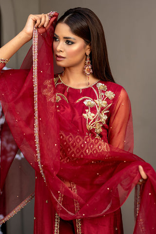 Afsana Pret Collection - AR2057