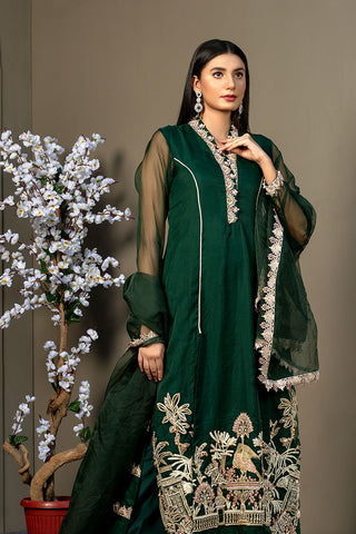 Afsana Pret Collection - AR2060