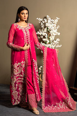 Afsana Pret Collection - AR2063