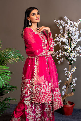 Afsana Pret Collection - AR2063