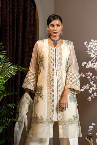 Afsana Pret Collection - AR2065