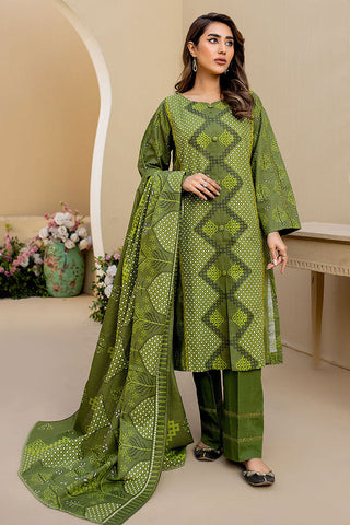 Amora 3 Piece Masuri Khaddar Collection - ASK-07