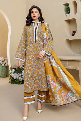 Amora 3 Piece Masuri Khaddar Collection - ASK-08