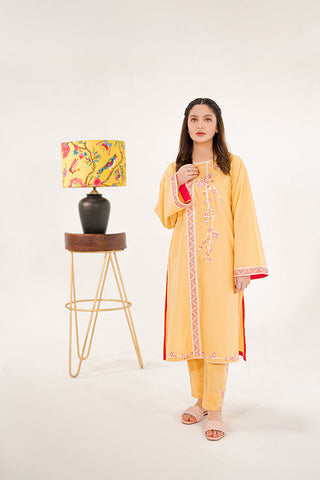 B6 - Sunny Mist Embroidered 2-PC Lawn Suit