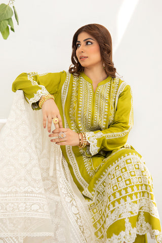 Pristine Ready to Wear Collection - Beena