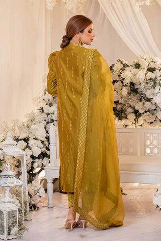 Picture of RJS Pret - Monotone Solids Pret Collection - Dhaani - Available at Raja Sahib