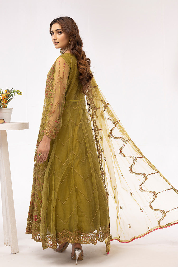 Picture of Ellena - Embroidered Net Maxi Dress - Available at Raja Sahib