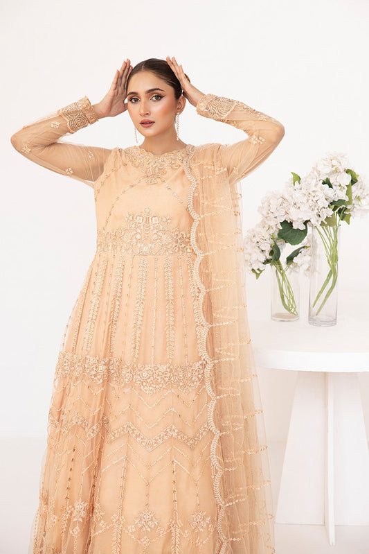 Picture of Ellena - Embroidered Net Maxi Dress - Available at Raja Sahib