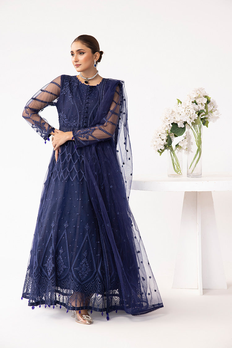 Picture of Ellena - Embroidered Net Maxi Dress - Available at Raja Sahib