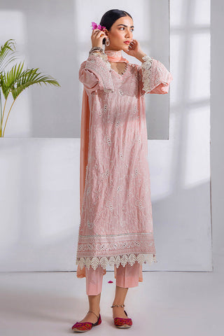 Gull Premium Embroidered Collection - 5251