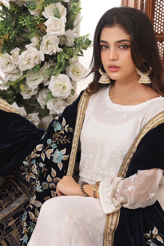 Picture of Hadiaeman - Embroidered Velvet Collection - HEVC 01 - Available at Raja Sahib