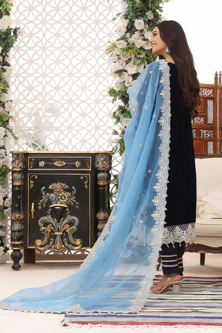 Picture of Hadiaeman - Embroidered Velvet Collection - HEVC 02 - Available at Raja Sahib