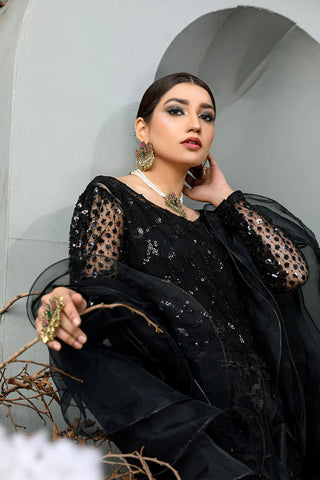 Noor Festive Collection - Passion