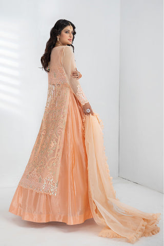 Pristine Ready to Wear Collection - Peral