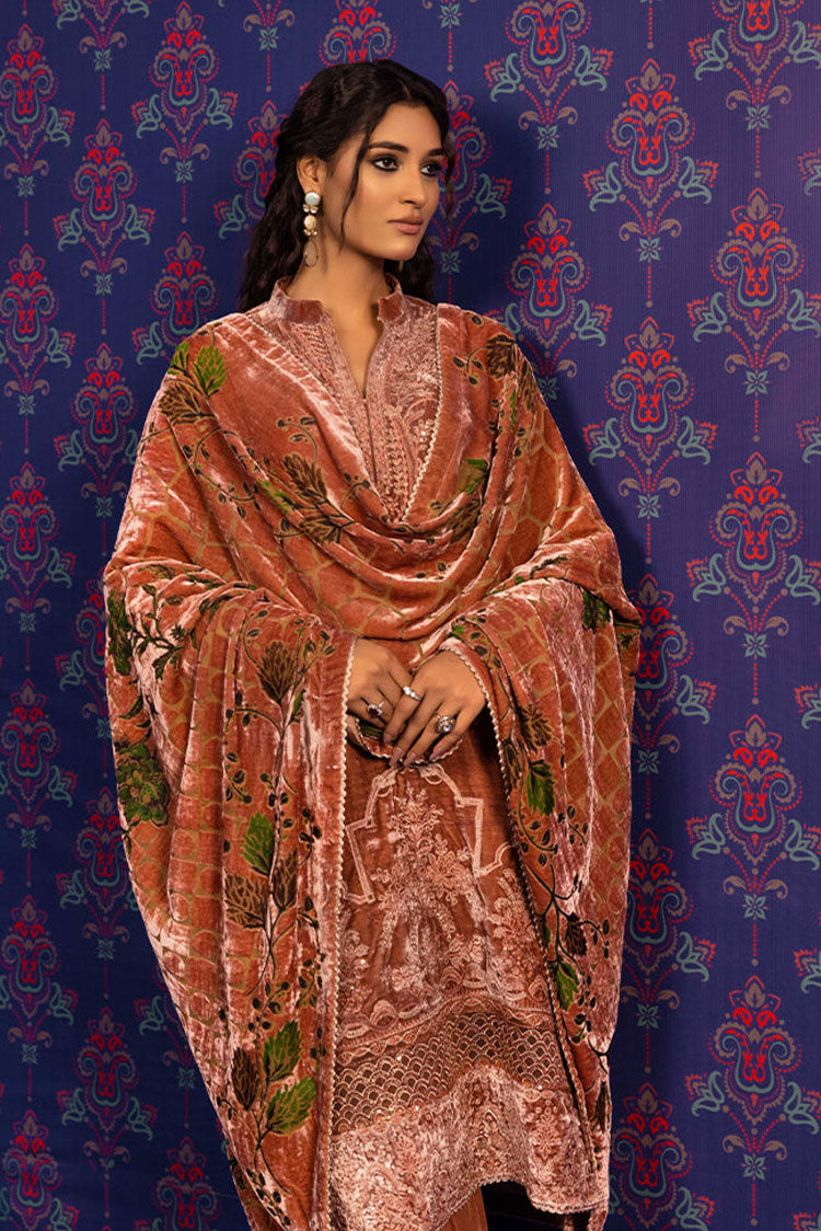 Picture of Adans Libas - Plachi Embroidered Unstitched Collection - 5410 - Available at Raja Sahib