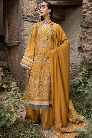 Raahi Embroidered Winter Collection - Arsh
