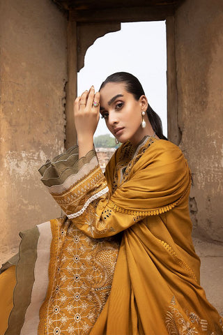 Raahi Embroidered Winter Collection - Arsh