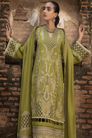 Raahi Embroidered Winter Collection - Vasal