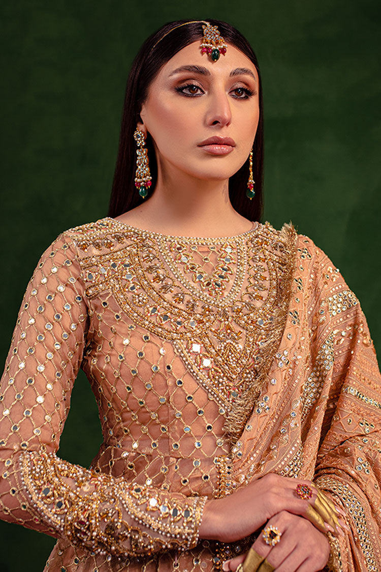 Picture of Maria Osama Khan - Salma Sitara Luxury Formals - Vasl - Available at Raja Sahib