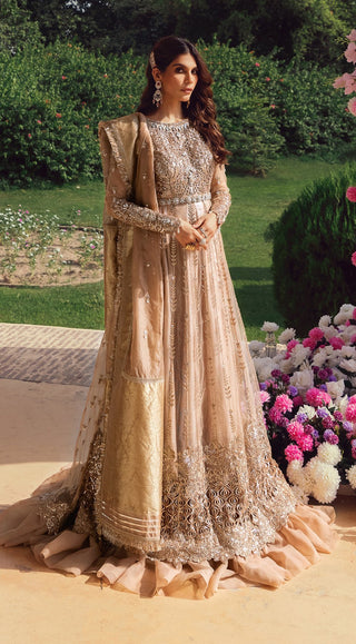 AC 21 07 Radiance Opulence Hand Embellished And Embroidered Chiffon Collection