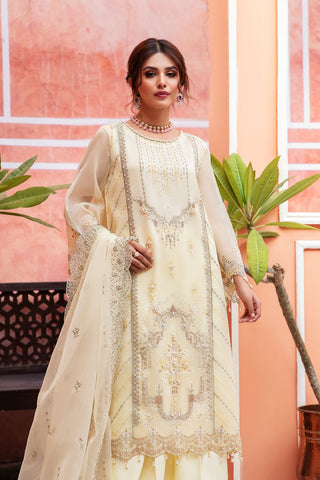 03 Amber Luxury Embroidered Collection