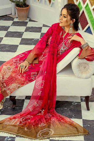 Design 10 Silver Series Embroidered Chunri Lawn Collection