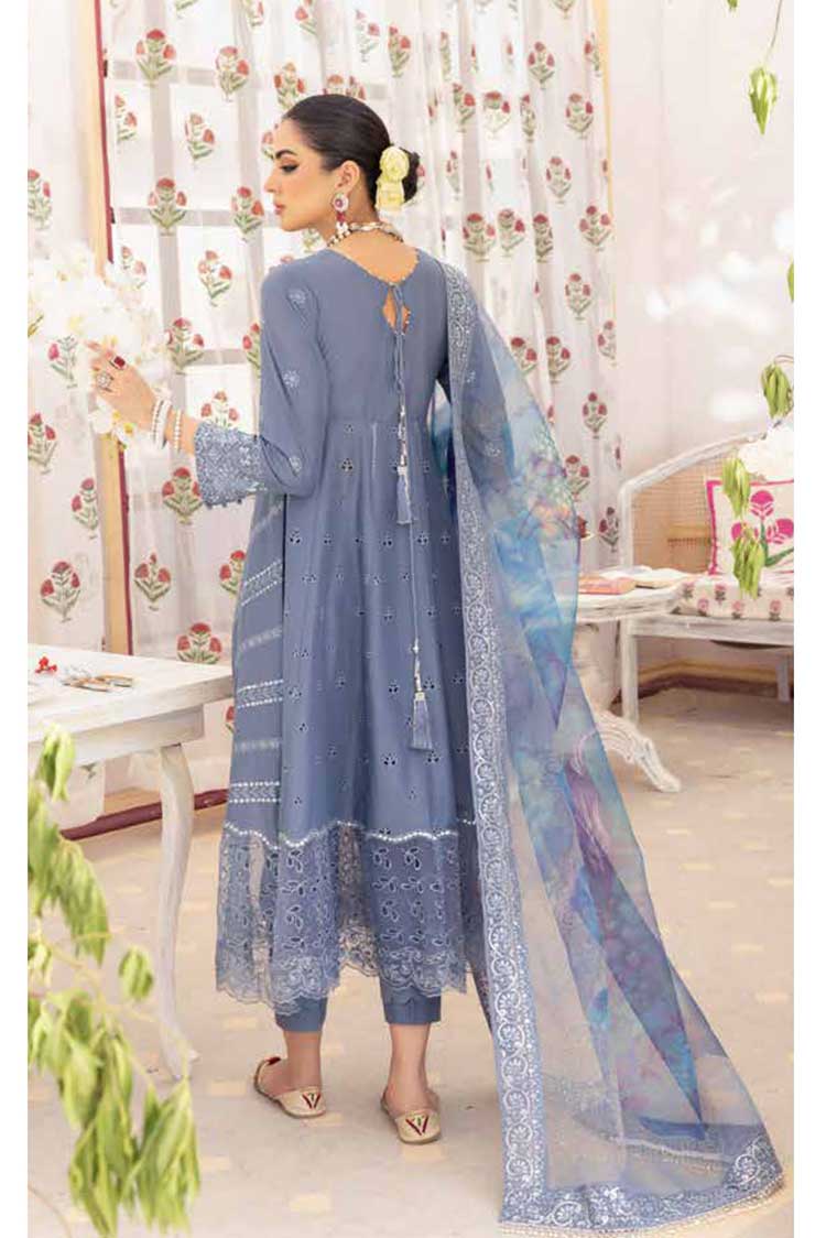 Picture of Nureh - NF 39 Chandni Eid Collection - Available at Raja Sahib