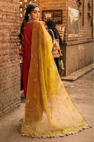 NS 24 Bazaar Embroidered Lawn Collection