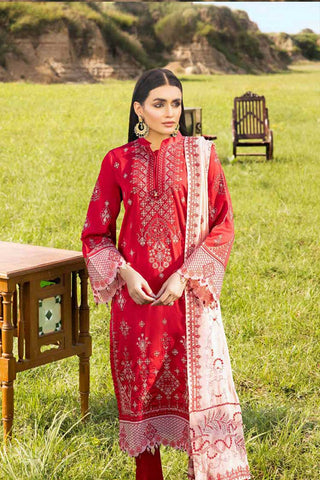 MSCE 105 Satin Cotton Embroidered Collection