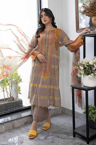 CP 50 C Prints Printed Lawn Collection Vol 6