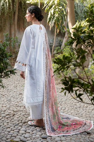 13 Bano Afsanah Embroidered Lawn Collection