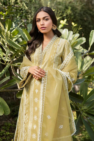 06 Amaltaas Afsanah Embroidered Lawn Collection