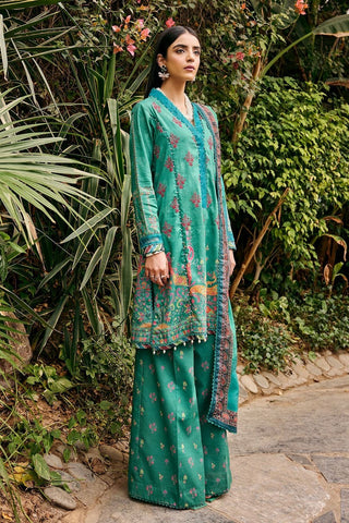 3546 Mehroze Umang Printed Embroidered Lawn Collection
