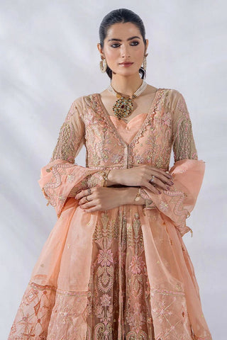 07 Daisy Afreen Exclusive Embroidered Chiffon Collection